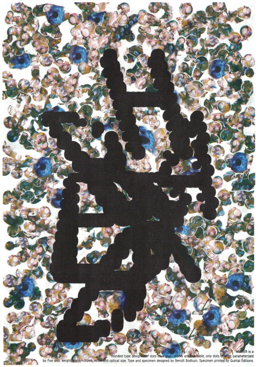 harber-a2.jpg
